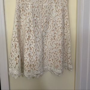 Francesca's Dress Collections